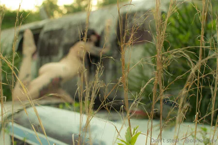 Ohnoitslexfree OnlyFans Leaked Free Thumbnail Picture - #rS6I7umvML