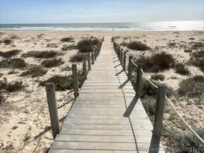 Oliveglass OnlyFans Leaked Free Thumbnail Picture - #ftMrA8HAcV