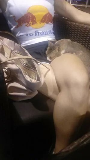 Olly Esse OnlyFans Leaked Free Thumbnail Picture - #aePZlqunje