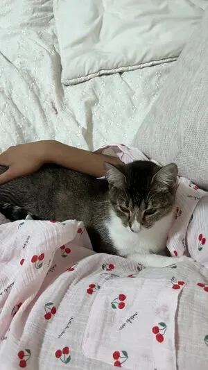 Om4ly OnlyFans Leaked Free Thumbnail Picture - #5JkfYdjAIW