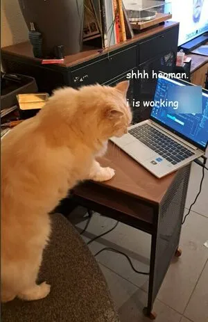 Onlyfwens69 OnlyFans Leaked Free Thumbnail Picture - #xHkXUC02s1