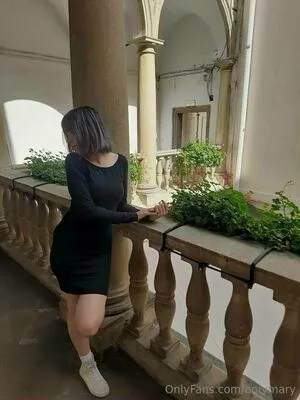 Onlymary OnlyFans Leaked Free Thumbnail Picture - #HMAdYABj2H
