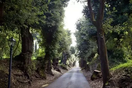 Onlyseraphine OnlyFans Leaked Free Thumbnail Picture - #HjBZdQJl9n