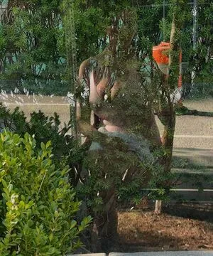 Onlyzaboomafoo OnlyFans Leaked Free Thumbnail Picture - #AzvCPnQifB