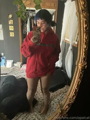 Opalcat OnlyFans Leaked Free Thumbnail Picture - #ImW72QTsVT