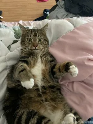 Opheliakaan10 OnlyFans Leaked Free Thumbnail Picture - #WtrNUNo4yh