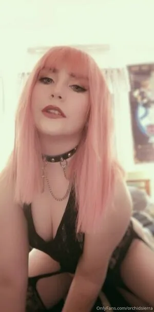 Orchidsierra OnlyFans Leaked Free Thumbnail Picture - #RHZyww0lpH