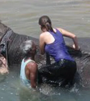 Osnat OnlyFans Leaked Free Thumbnail Picture - #EBamvfePWV