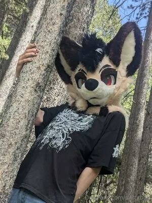 P4rtyboy OnlyFans Leaked Free Thumbnail Picture - #ZFrCZlR0VI