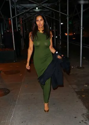 Padma Lakshmi OnlyFans Leaked Free Thumbnail Picture - #1ky9vdxtQo