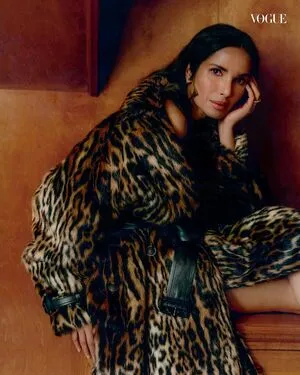 Padma Lakshmi OnlyFans Leaked Free Thumbnail Picture - #9iE0fJlb73