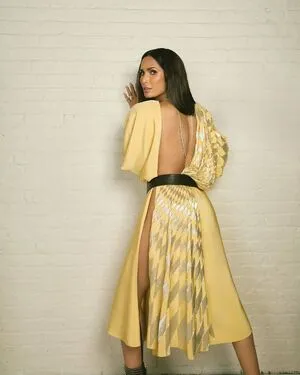 Padma Lakshmi OnlyFans Leaked Free Thumbnail Picture - #RoGaTSAOU6