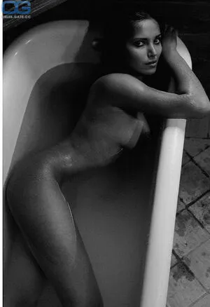Padma Lakshmi OnlyFans Leaked Free Thumbnail Picture - #xgUyI2O6mV