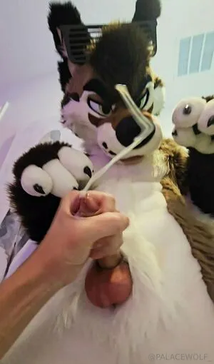 Palacewolf OnlyFans Leaked Free Thumbnail Picture - #CSbQGsQNui
