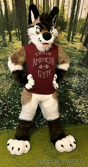 Palacewolf OnlyFans Leaked Free Thumbnail Picture - #TMpg0c7Djw