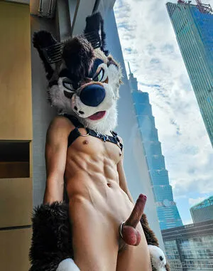 Palacewolf OnlyFans Leaked Free Thumbnail Picture - #Xf9GhxweHB