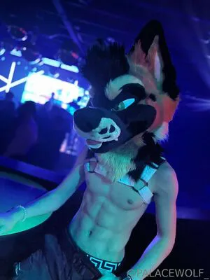 Palacewolf OnlyFans Leaked Free Thumbnail Picture - #ZJFvUnLiYj