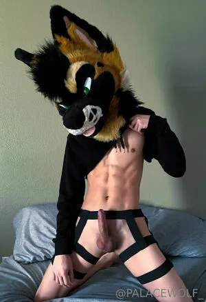 Palacewolf OnlyFans Leaked Free Thumbnail Picture - #kEuc1w6Zhv