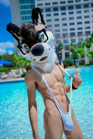 Palacewolf OnlyFans Leaked Free Thumbnail Picture - #l9JpgyGwxF