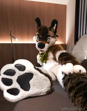 Palacewolf OnlyFans Leaked Free Thumbnail Picture - #nSuiTzg4DD