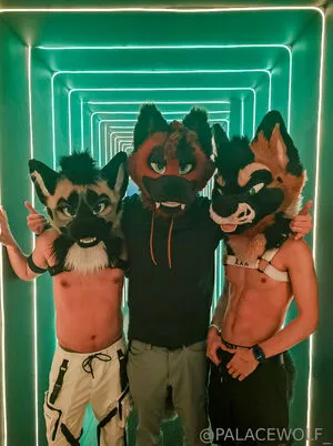 Palacewolf OnlyFans Leaked Free Thumbnail Picture - #q5ds9jw3JH