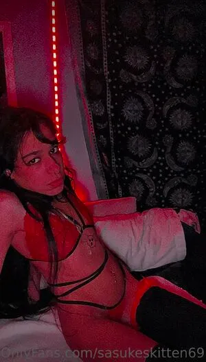 Palmtoptiger OnlyFans Leaked Free Thumbnail Picture - #VrrPTLBoqF