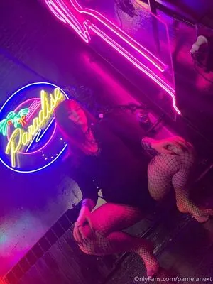 Pamelanext OnlyFans Leaked Free Thumbnail Picture - #ZAoLl4gEoc