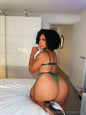 Pancher OnlyFans Leaked Free Thumbnail Picture - #b8ZKk3IOPw