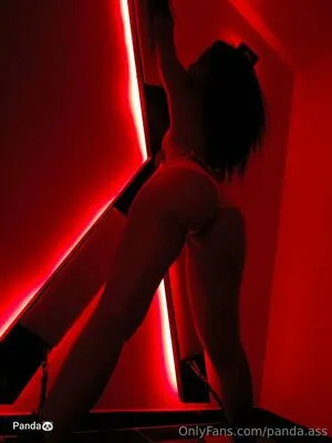 Panda Ass OnlyFans Leaked Free Thumbnail Picture - #Avn8GByXKZ