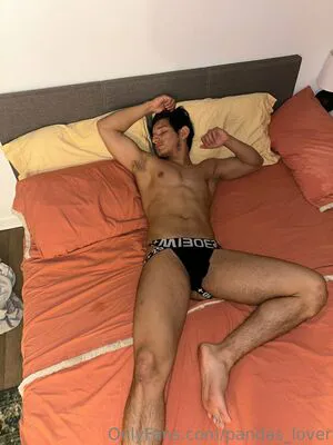 Pandas Lover OnlyFans Leaked Free Thumbnail Picture - #Cc8sZlZ5It