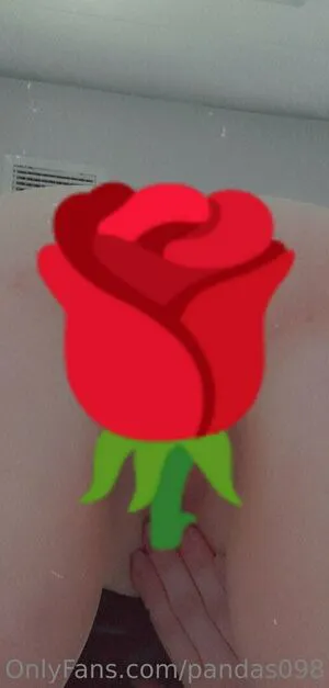 Pandas098 OnlyFans Leaked Free Thumbnail Picture - #O0H29k3uVS
