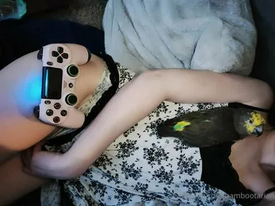 Pandavision OnlyFans Leaked Free Thumbnail Picture - #lz1wxSqaCp