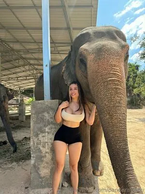 Pandorakaaki OnlyFans Leaked Free Thumbnail Picture - #Q05jvQIuGX