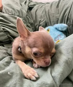 Panteritaaa OnlyFans Leaked Free Thumbnail Picture - #ObKbZeYayk