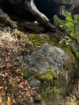 Panteritaaa OnlyFans Leaked Free Thumbnail Picture - #afA56Mf7cr