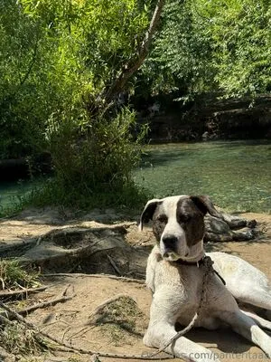 Panteritaaa OnlyFans Leaked Free Thumbnail Picture - #bnlc0DN3Mw