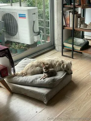 Panteritaaa OnlyFans Leaked Free Thumbnail Picture - #cWW2udN34C