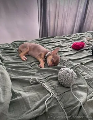 Panteritaaa OnlyFans Leaked Free Thumbnail Picture - #qarKwQLPry