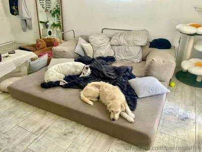 Panteritafree OnlyFans Leaked Free Thumbnail Picture - #2Tk3jPWeJU