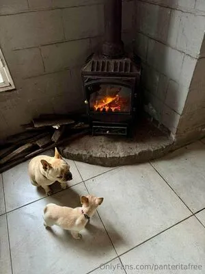 Panteritafree OnlyFans Leaked Free Thumbnail Picture - #ergxUwyJiu