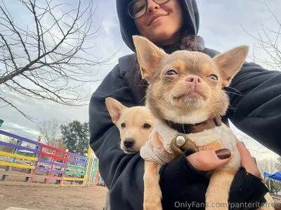 Panteritafree OnlyFans Leaked Free Thumbnail Picture - #gY640UW5hX