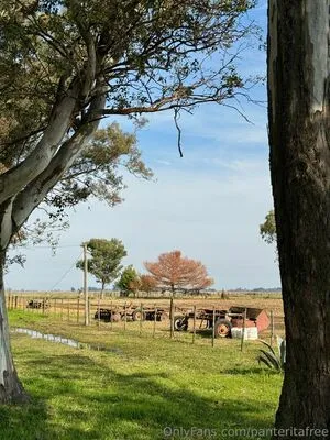 Panteritafree OnlyFans Leaked Free Thumbnail Picture - #gmXiq5dadP