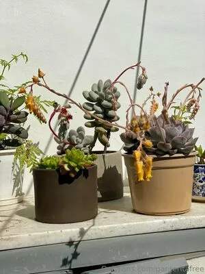 Panteritafree OnlyFans Leaked Free Thumbnail Picture - #mfWTHfDp6M