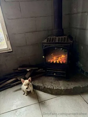 Panteritafree OnlyFans Leaked Free Thumbnail Picture - #nY1FOeiACJ