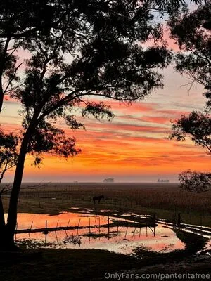 Panteritafree OnlyFans Leaked Free Thumbnail Picture - #qUZiNtjQRX