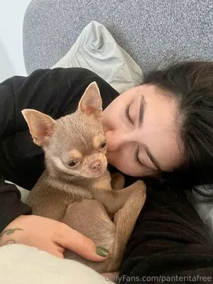 Panteritafree OnlyFans Leaked Free Thumbnail Picture - #ro7tGayUNh