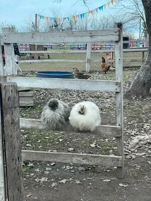 Panteritafree OnlyFans Leaked Free Thumbnail Picture - #vRKHdwtl9G