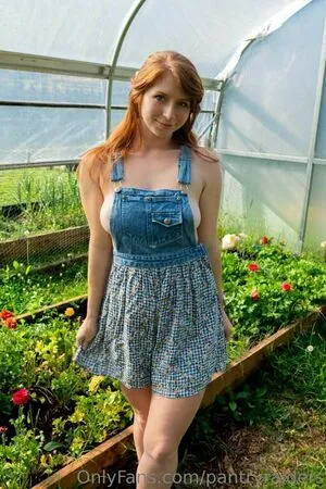 Pantryraiders OnlyFans Leaked Free Thumbnail Picture - #Xes17EXI4n