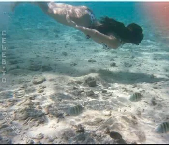 Parkenharbor OnlyFans Leaked Free Thumbnail Picture - #cFDqWNpDiI