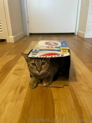 peachtree-23 OnlyFans Leaked Free Thumbnail Picture - #bAIcCVDbvu